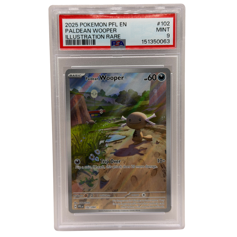 2025 POKEMON PFL EN-PHANTASMAL FLAMES ILLUSTRATION RARE PALDEAN WOOPER PSA 9
