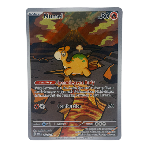 Pokemon TCG: Numel 223/217 Illustration Rare Ascended Heroes NM